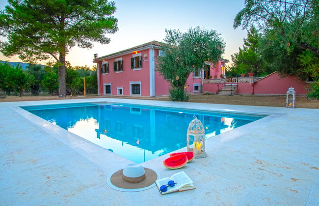 Doliva Estate - Foto 18