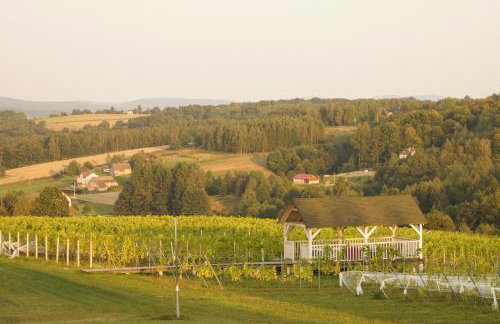 Winnica Sztukówka - Foto 4