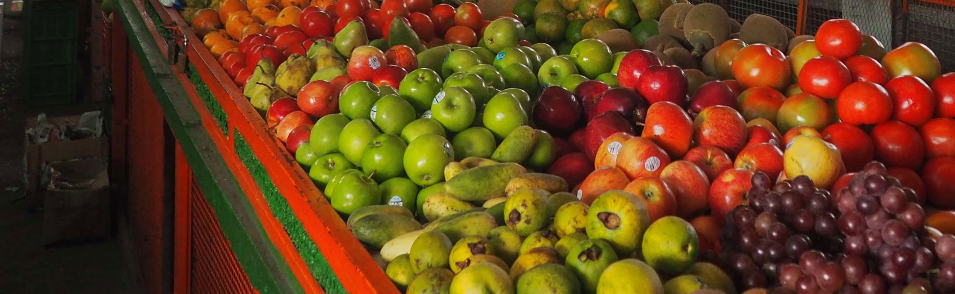 Tour por la Galería la Alameda y artesanías de Cali