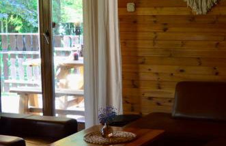 Rzeka i las - Photo 17