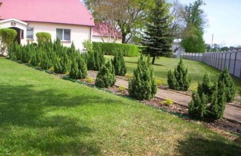 Agroturystyka Pod Brzozami - Photo 9