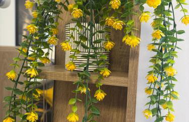 M&K Apartman Rovinj - Foto 30