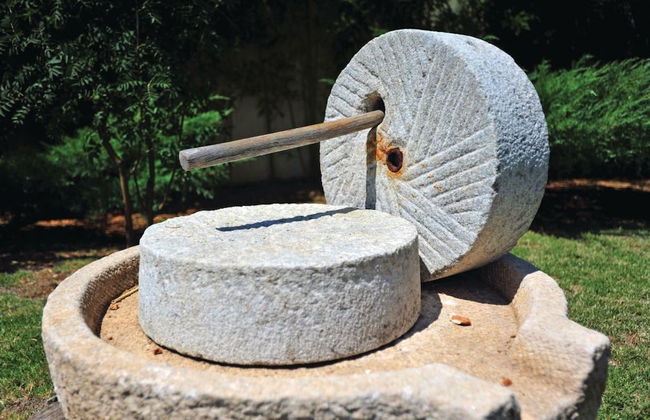 Zekova torina - Foto 20