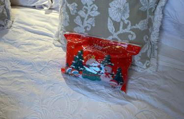 Ironbridge Tiny Hideaway - Foto 11