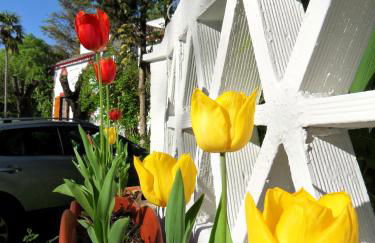 Complejo La Veguilla - Foto 14