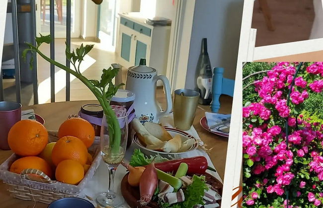 Holiday Home Paunovaca - Foto 25