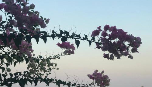 Natica Mare Villas - Photo 3