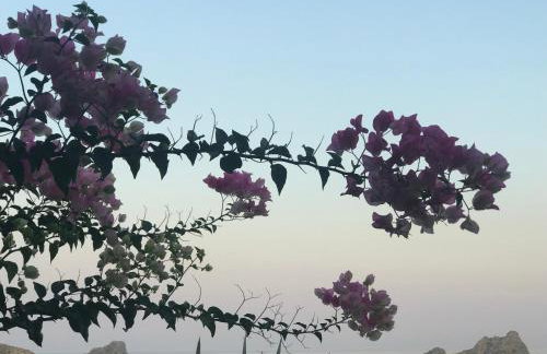 Natica Mare Villas - Foto 3