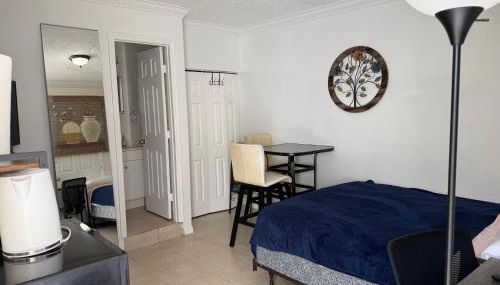 My Garden in Miami Florida - Foto 3