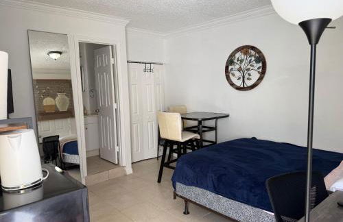 My Garden in Miami Florida - Photo 3