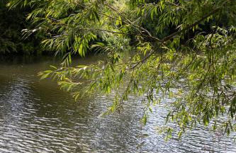 Charming 2BD Cottage wIth beautiful views nr Bath - Photo 27