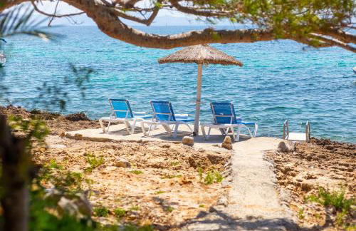 Far alcanada - Foto 62