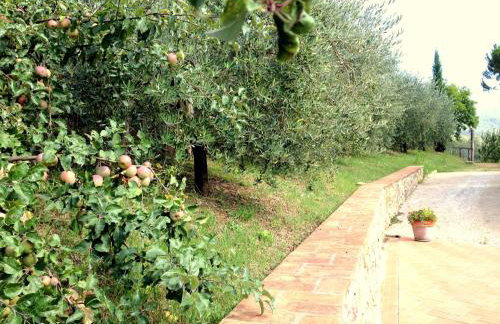 Agriturismo Le Cerinaie - Foto 66