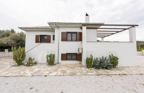 The Olive Home - Photo 16