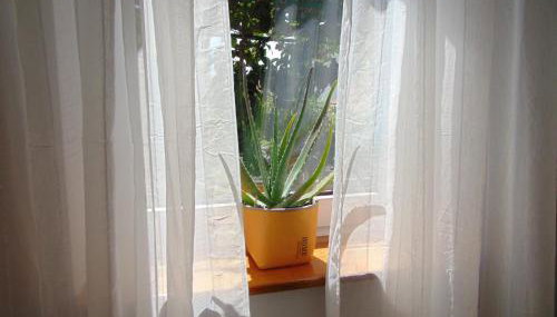 Apartments Petra - Foto 5, Garden view