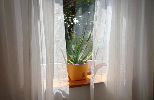 Apartments Petra - Photo 5