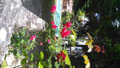 Casa da Boavista - Foto 2