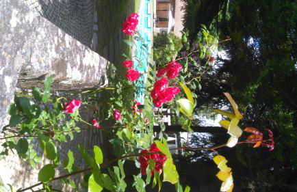 Casa da Boavista - Foto 2