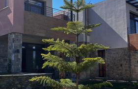 Aelia Stone Houses - Foto 39