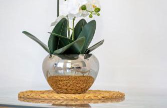 Léandre studio entièrement rénové avec extérieur - Foto 23