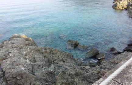 Casa Cinzia Bonassola Cinque Terre - Foto 42