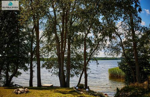 Domki Słodka Woda "Żuraw i Fuksja" - Foto 9