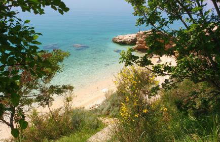 Apartments Bassi - Foto 54