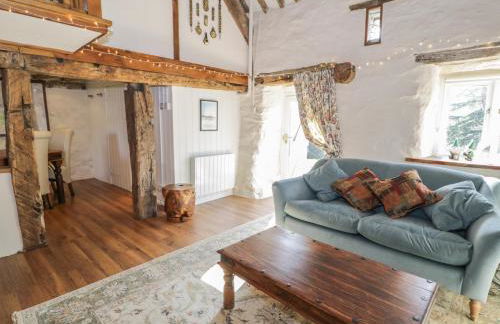 Old Ty'n Y Wern - Foto 7