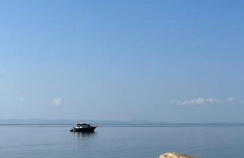 Artion Alfa Luxury - Photo 53