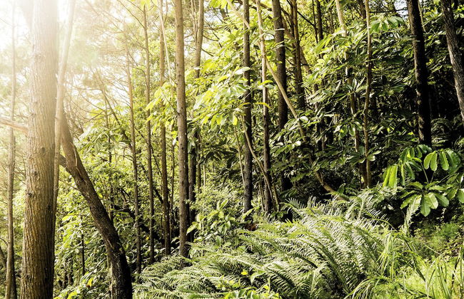 Habitat Noosa - Foto 46