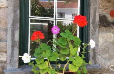 Quintal d'Angra - Photo 30