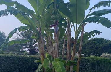 Villetta Esclusiva sulla Spiaggia della Pelosa - Foto 49