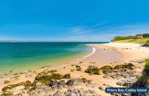 Ty Twt Tiny House - Photo 23