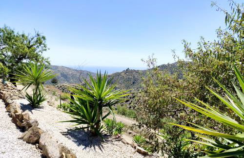 Villa el Mirador de la Axarquía - Foto 19