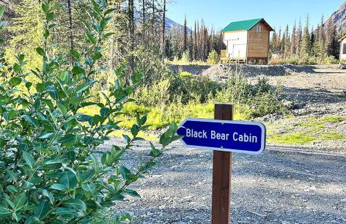 Romantic Lakefront Cabin with Mountain Views, Perfect for a Trip to Cantwell, Alaska - Foto 7