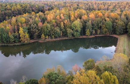 Peaceful & Spacious Modern Home - Lake Views! - Foto 35