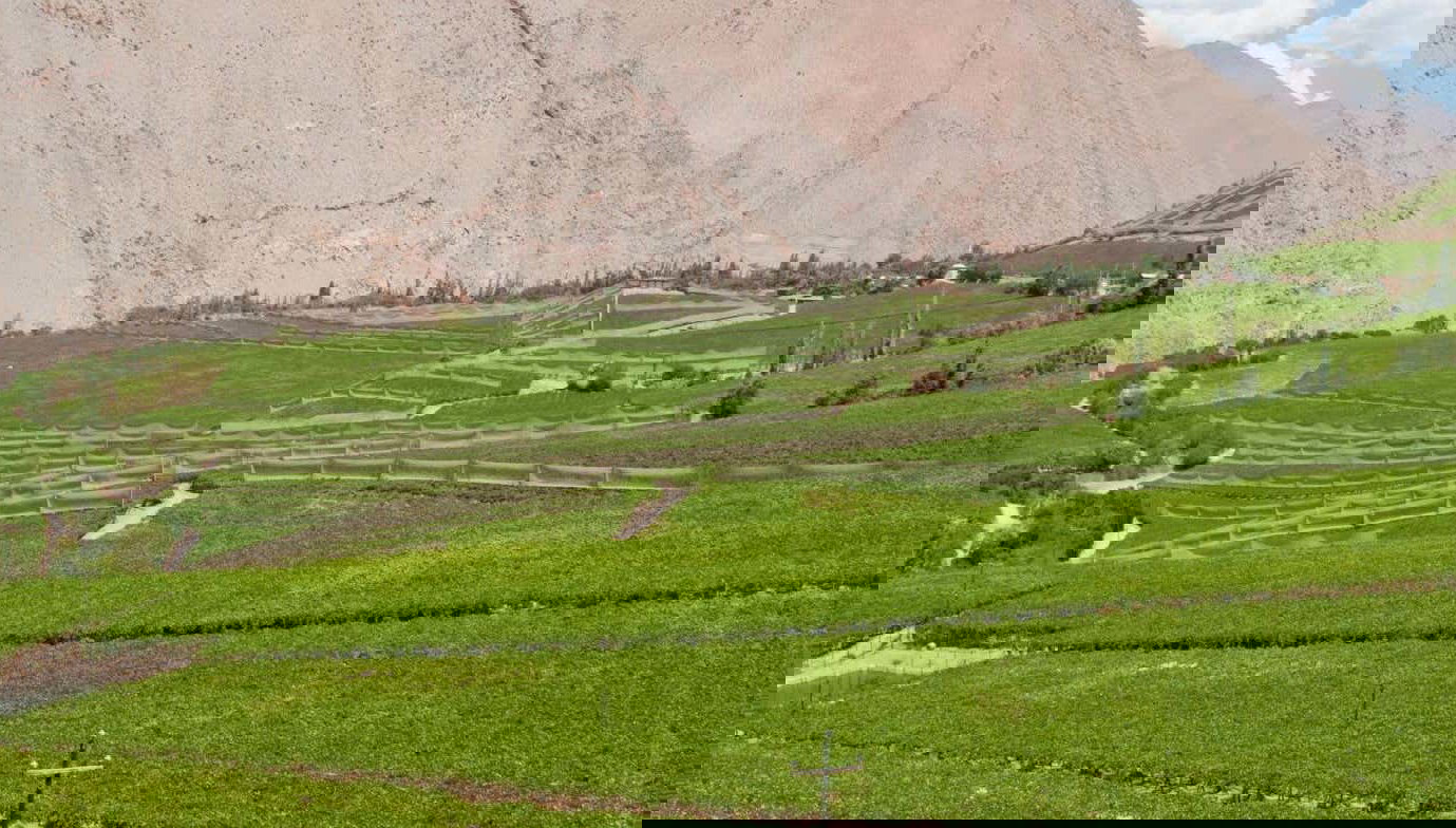 Tour del pisco por el Valle del Elqui - Foto 1, Tour del pisco por el Valle del Elqui