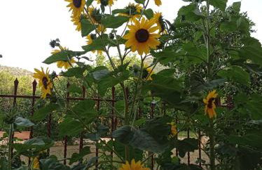 Happy Days Apartment - Foto 22