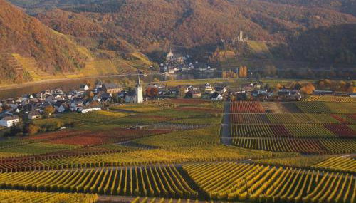 Weingut im Moselkrampen - Foto 2