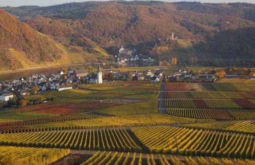 Weingut im Moselkrampen - Foto 2