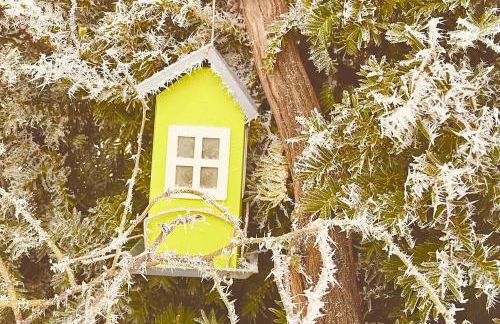 Ferienwohnung Hagemeister in Schwerin - ABC571 - nur Feriengäste! - Foto 28