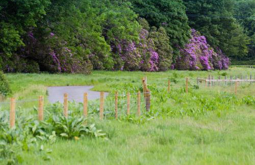 Ysgubor Wennol - Foto 36