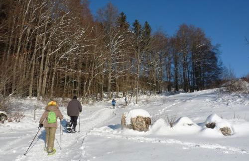 Le pied-à-terre du botaniste - Foto 19
