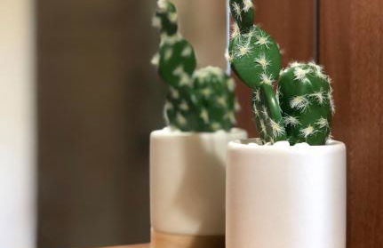 Elba Villa Colle - Nel verde ma vicina al mare - Foto 27