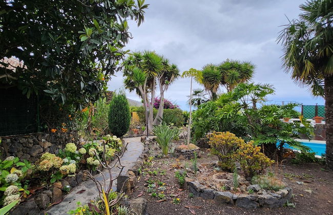 Oasis Hill Botanical Garden - Foto 64