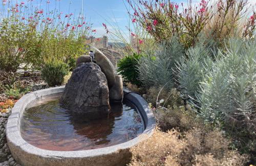 Duplex with Terrace Bordeaux - Light & View - Foto 17