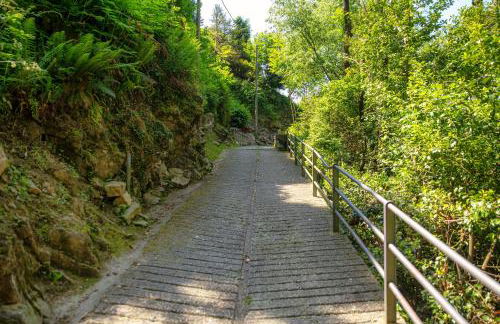 The sound of silence - Foto 19