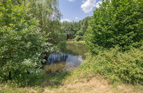 Pétillant Chalet aux 3 étangs avec SPA, Sauna et Véranda - Foto 41