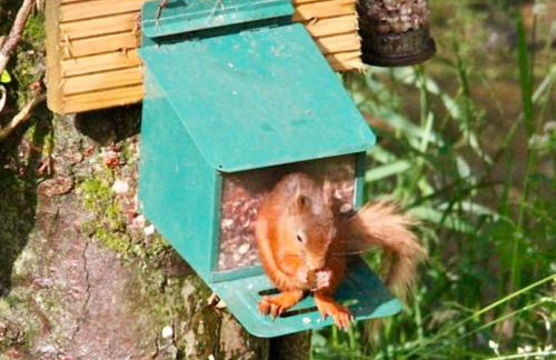 The Carriage - A first class experience - Foto 38