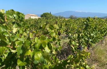 Inspiration maison entière avec jardin - Photo 30